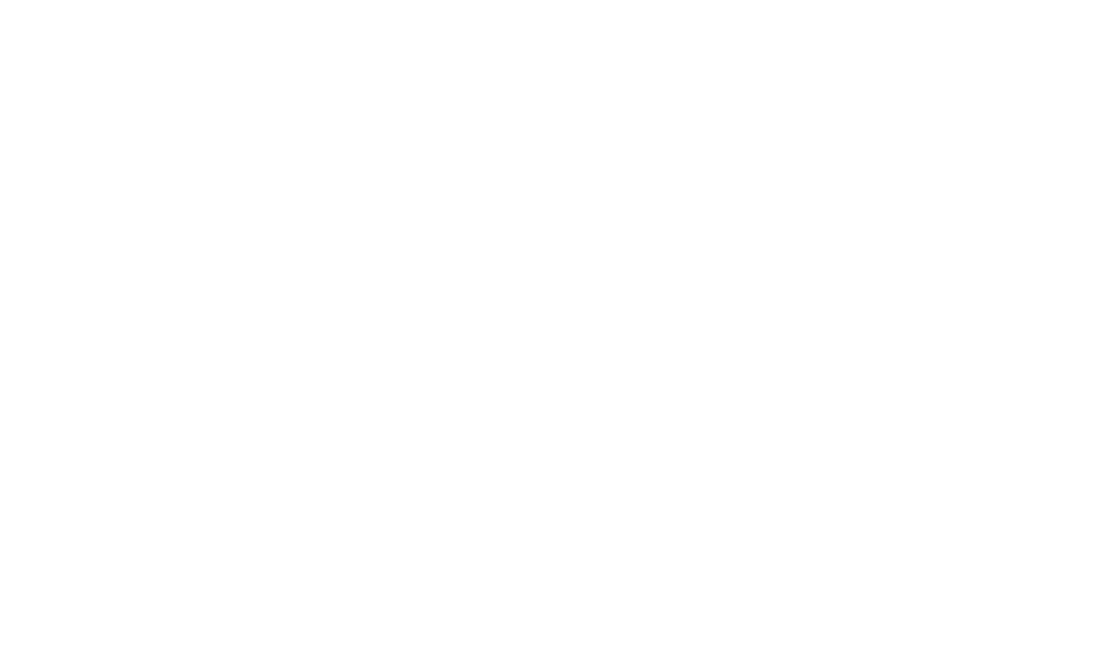 Nina-Wortmarke-weiss-rgb