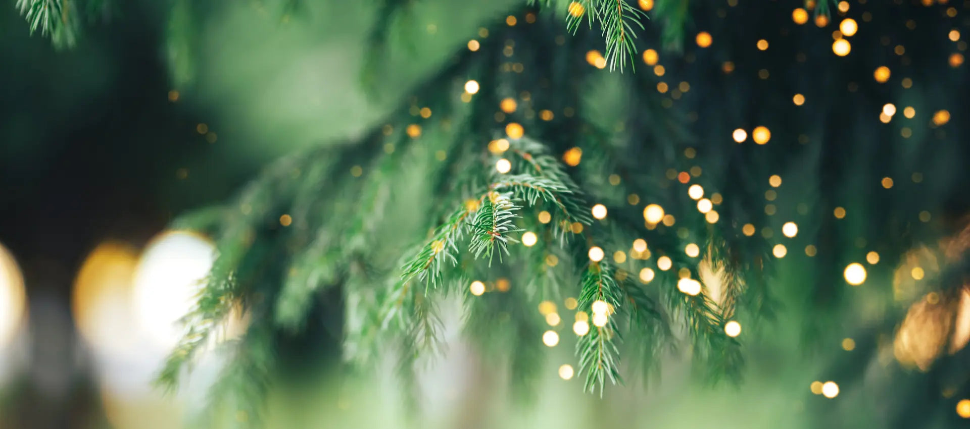 Weihnachtsbaumast mit kleinen Lichtern